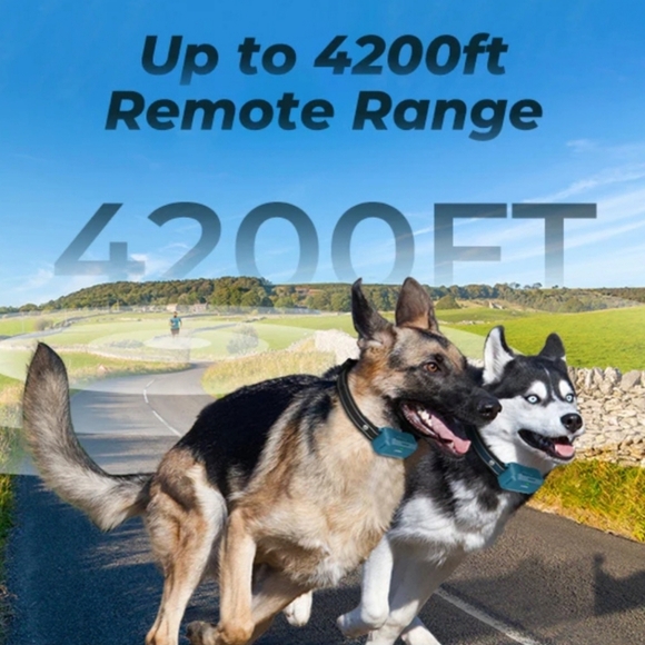 Jugbow DT-682 Remote Training Collar for Two Dogs – 4200FT Range - Picture 3 of 12